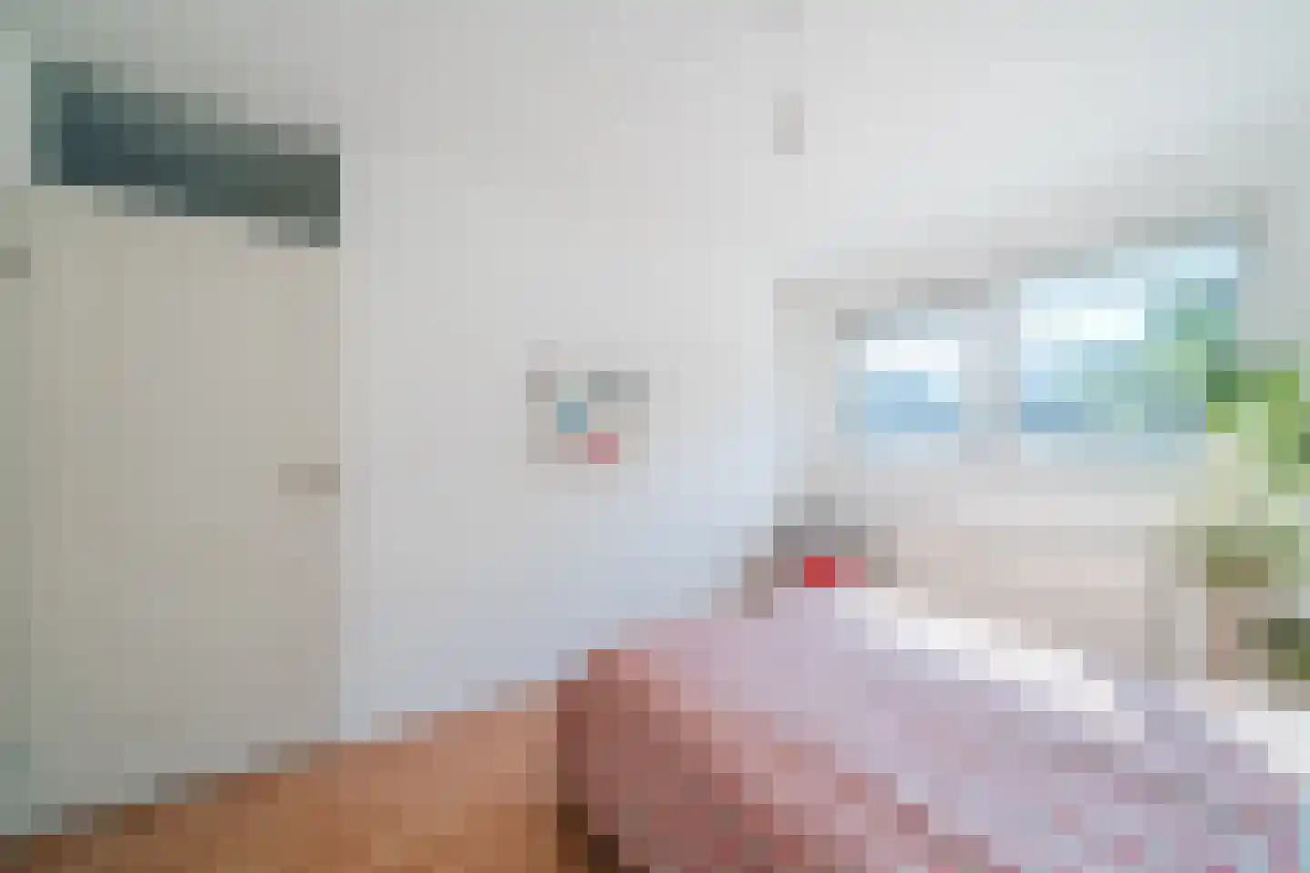 Joke Smitstraat 13 Bergen (NH) thumbnail 18