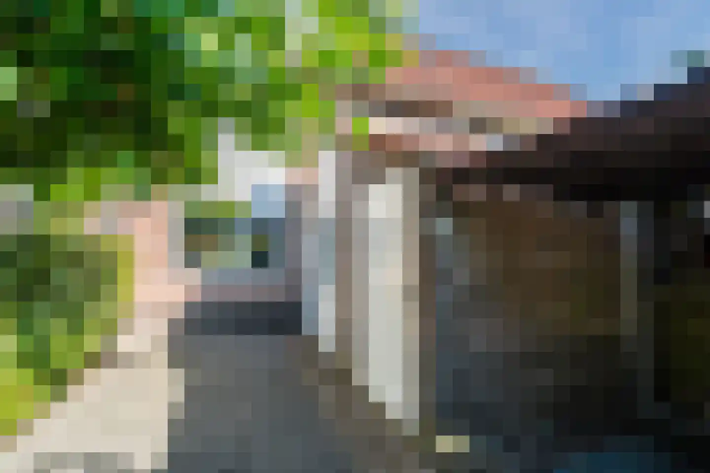 Joke Smitstraat 13 Bergen (NH) thumbnail 5
