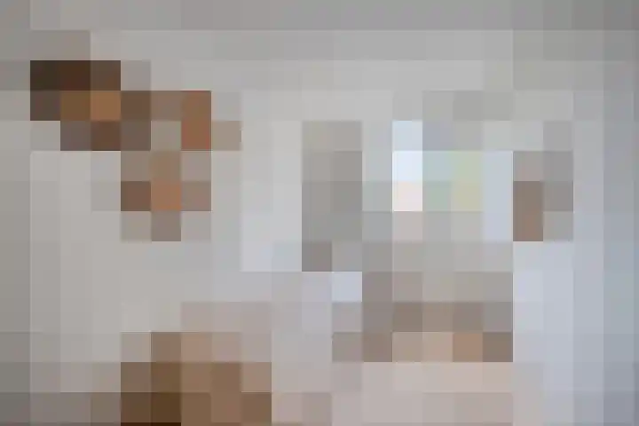 Joke Smitstraat 14 Tiel thumbnail 15