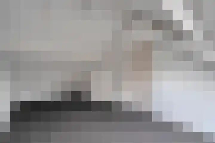 Joke Smitstraat 14 Tiel thumbnail 21