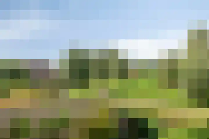 Joke Smitstraat 14 Tiel thumbnail 28
