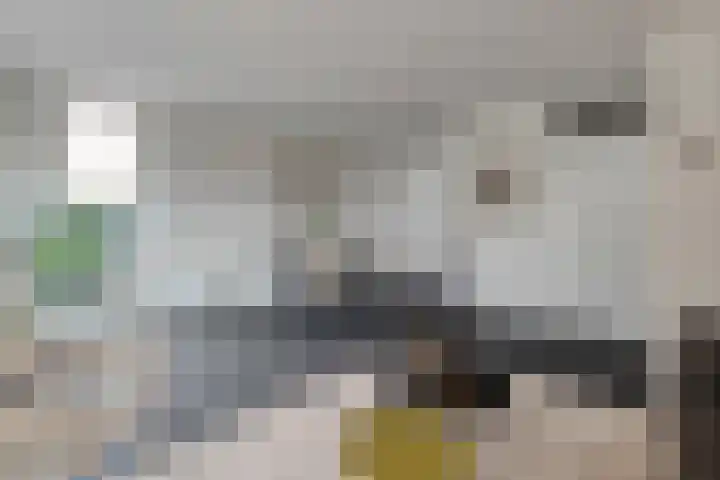 Joke Smitstraat 14 Tiel thumbnail 4