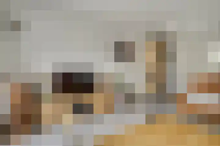 Joke Smitstraat 15 Alphen aan den Rijn thumbnail 10