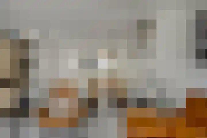 Joke Smitstraat 15 Alphen aan den Rijn thumbnail 11