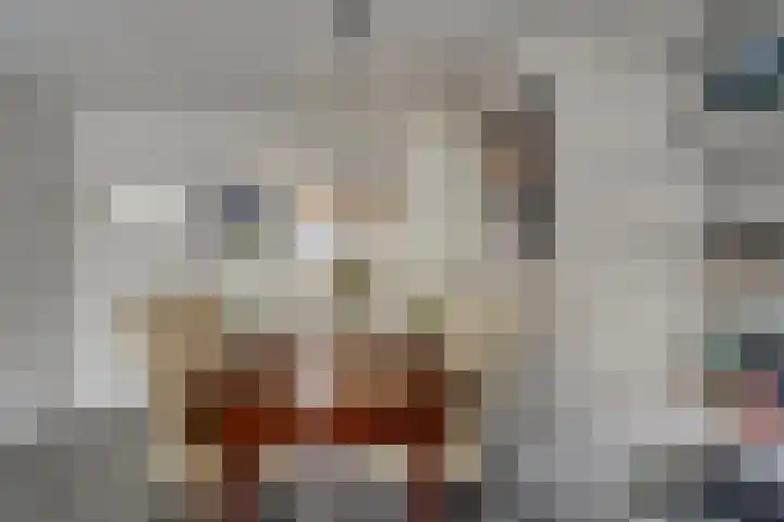 Joke Smitstraat 15 Alphen aan den Rijn thumbnail 12