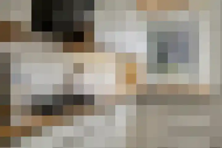 Joke Smitstraat 15 Alphen aan den Rijn thumbnail 13