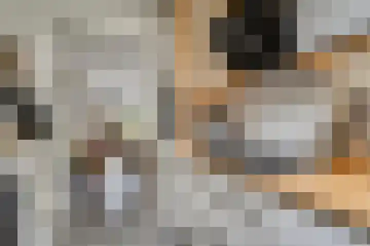 Joke Smitstraat 15 Alphen aan den Rijn thumbnail 14