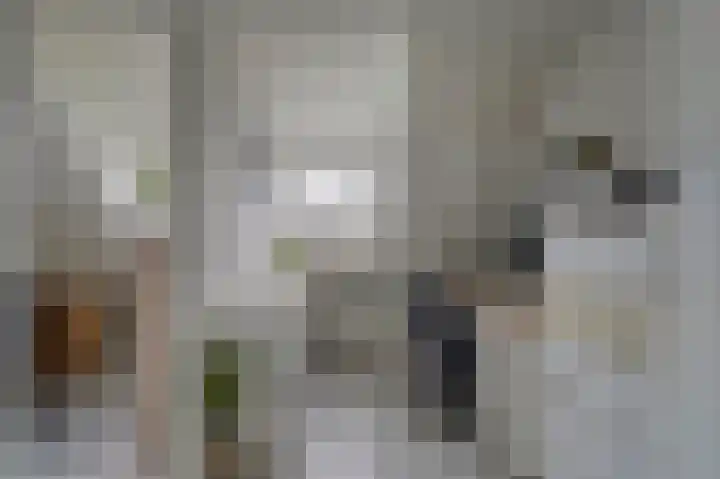 Joke Smitstraat 15 Alphen aan den Rijn thumbnail 16