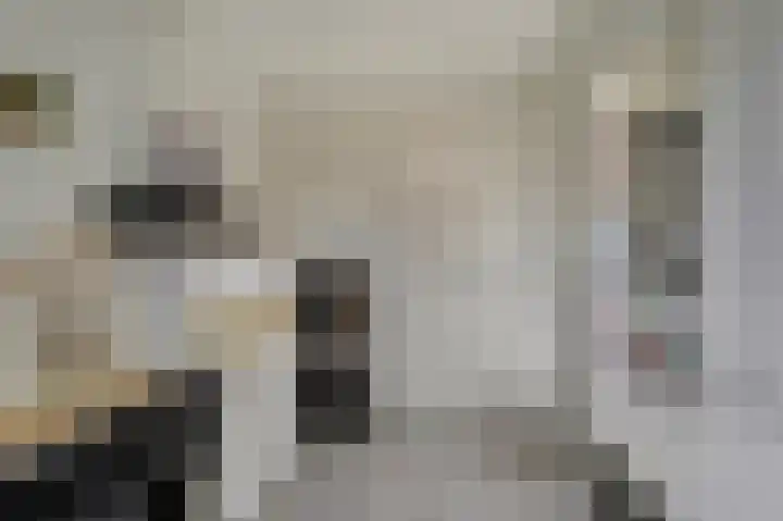 Joke Smitstraat 15 Alphen aan den Rijn thumbnail 17