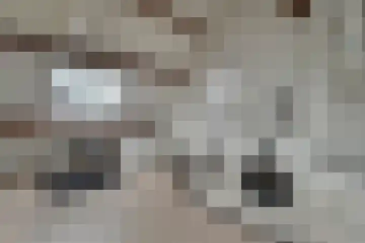 Joke Smitstraat 15 Alphen aan den Rijn thumbnail 27