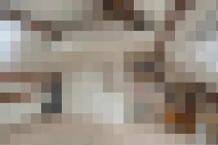 Joke Smitstraat 15 Alphen aan den Rijn thumbnail 29