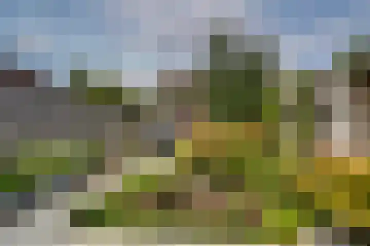 Joke Smitstraat 15 Alphen aan den Rijn thumbnail 33