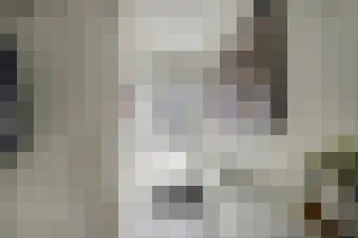Joke Smitstraat 15 Alphen aan den Rijn thumbnail 36
