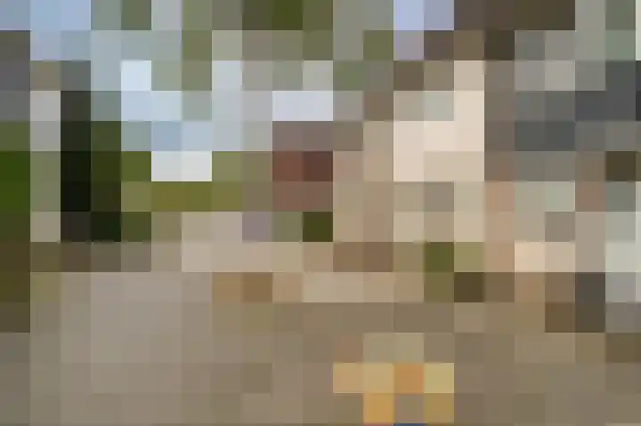 Joke Smitstraat 15 Alphen aan den Rijn thumbnail 37
