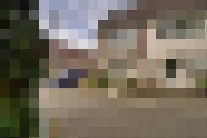 Joke Smitstraat 15 Alphen aan den Rijn thumbnail 38