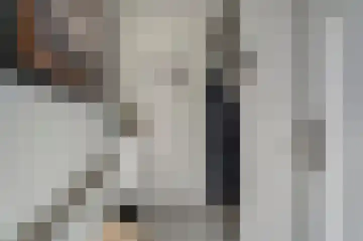 Joke Smitstraat 15 Alphen aan den Rijn thumbnail 6