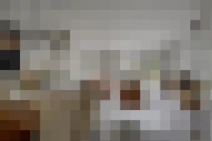 Joke Smitstraat 15 Alphen aan den Rijn thumbnail 7