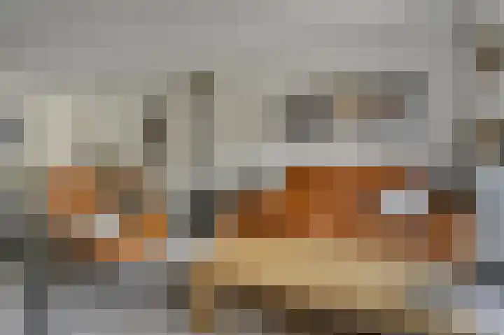 Joke Smitstraat 15 Alphen aan den Rijn thumbnail 8