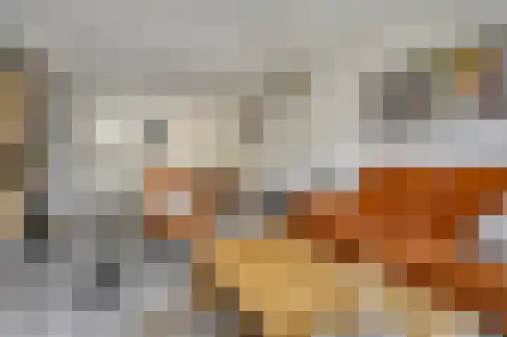 Joke Smitstraat 15 Alphen aan den Rijn thumbnail 9