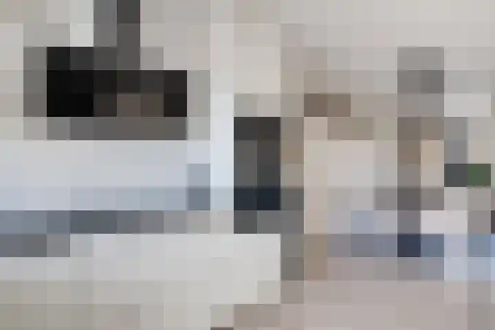 Joke Smitstraat 15 Coevorden thumbnail 12