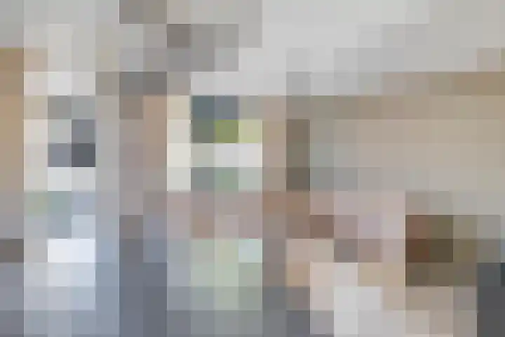 Joke Smitstraat 15 Coevorden thumbnail 13