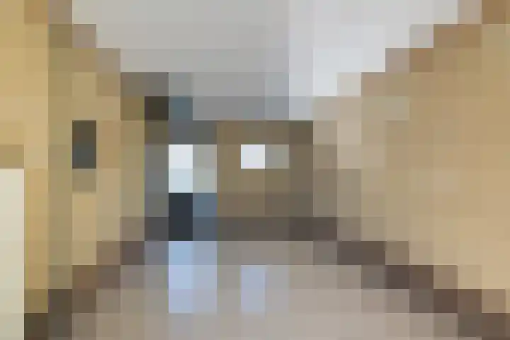 Joke Smitstraat 15 Coevorden thumbnail 18