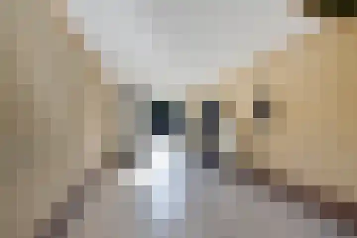 Joke Smitstraat 15 Coevorden thumbnail 19
