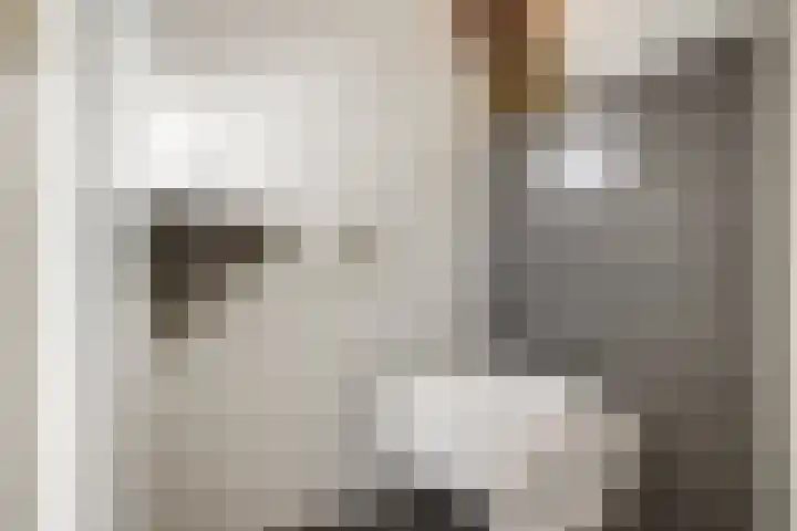 Joke Smitstraat 15 Coevorden thumbnail 20