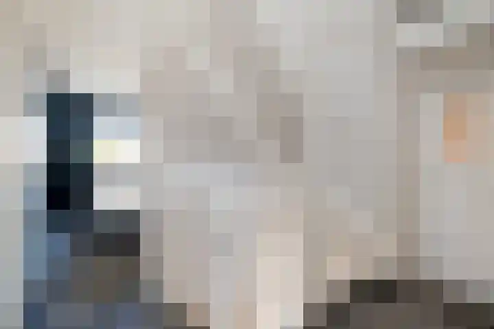 Joke Smitstraat 15 Coevorden thumbnail 21
