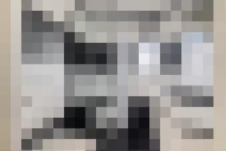 Joke Smitstraat 15 Coevorden thumbnail 23