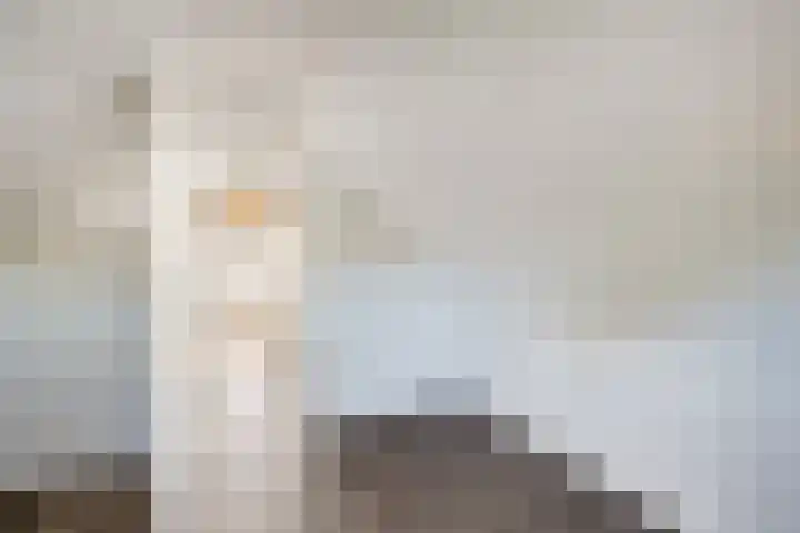 Joke Smitstraat 15 Coevorden thumbnail 34