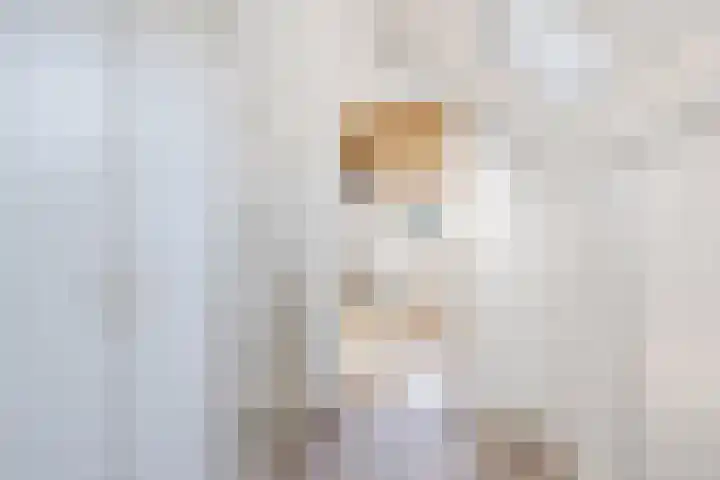 Joke Smitstraat 15 Coevorden thumbnail 35
