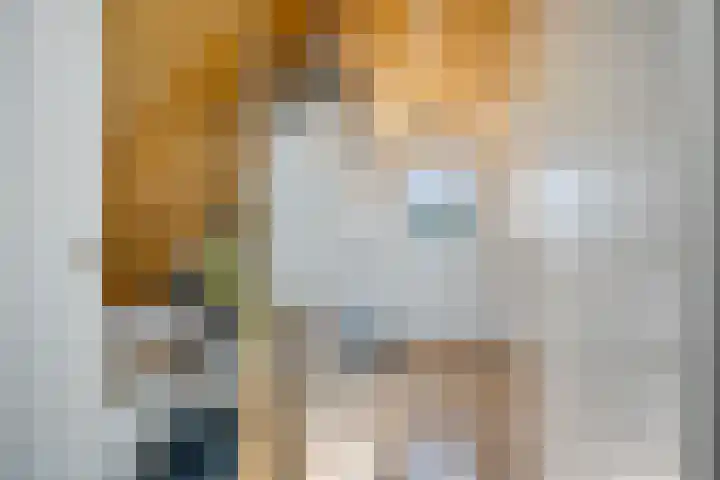 Joke Smitstraat 15 Coevorden thumbnail 36