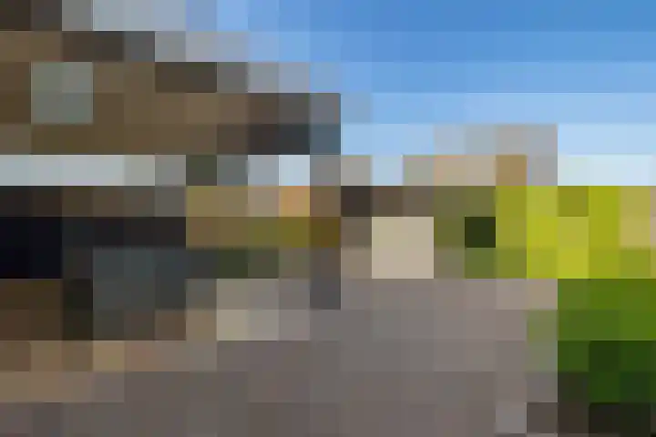 Joke Smitstraat 15 Coevorden thumbnail 37