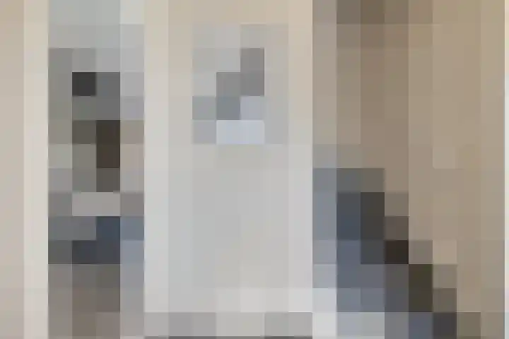 Joke Smitstraat 15 Coevorden thumbnail 9