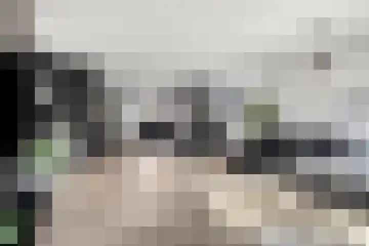 Joke Smitstraat 17 Pijnacker thumbnail 10