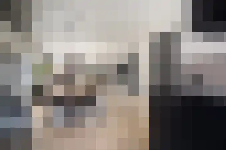 Joke Smitstraat 17 Pijnacker thumbnail 13