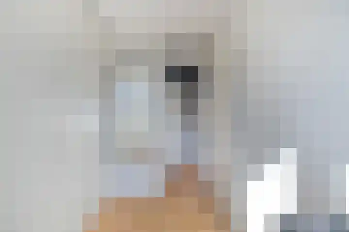 Joke Smitstraat 17 Pijnacker thumbnail 22