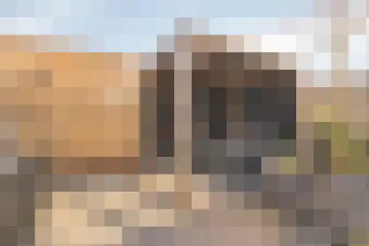 Joke Smitstraat 17 Pijnacker thumbnail 27
