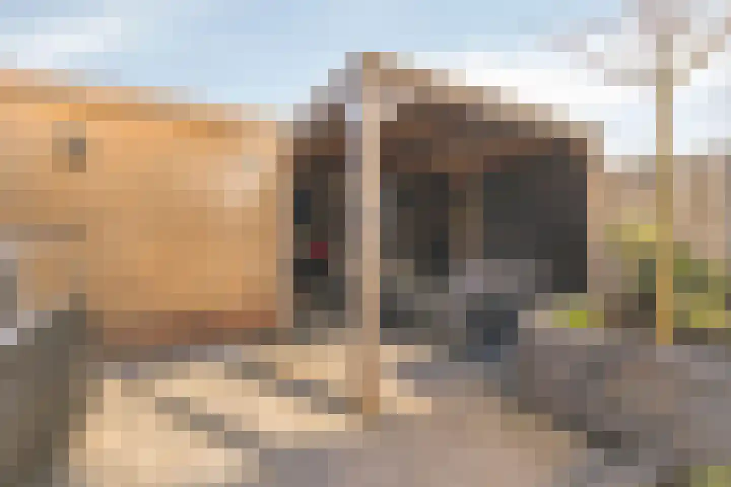 Joke Smitstraat 17 Pijnacker thumbnail 27