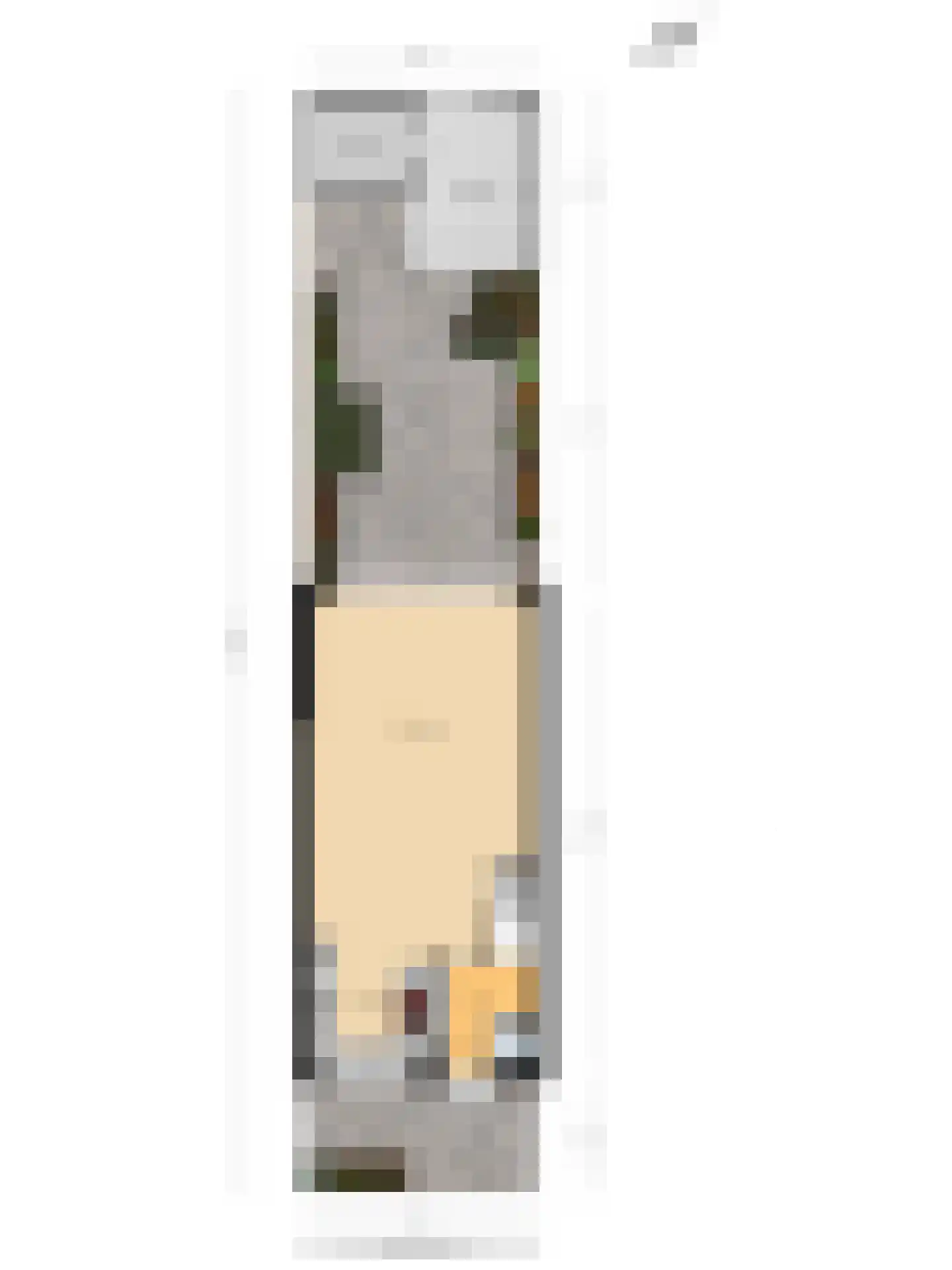 Joke Smitstraat 17 Pijnacker thumbnail 29