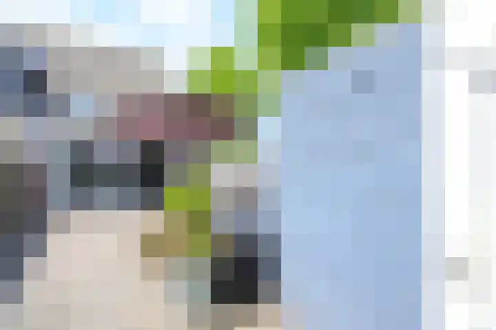 Joke Smitstraat 22 Alkmaar thumbnail 15