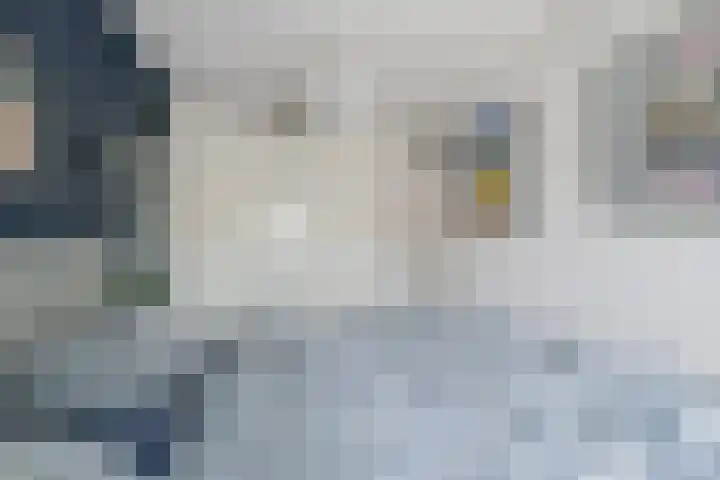 Joke Smitstraat 22 Alkmaar thumbnail 19