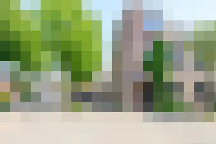 Joke Smitstraat 22 Alkmaar thumbnail 30