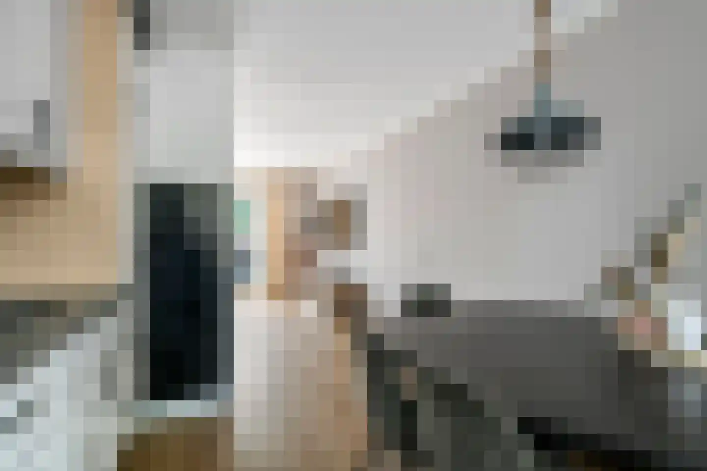 Joke Smitstraat 23 Tiel thumbnail 12