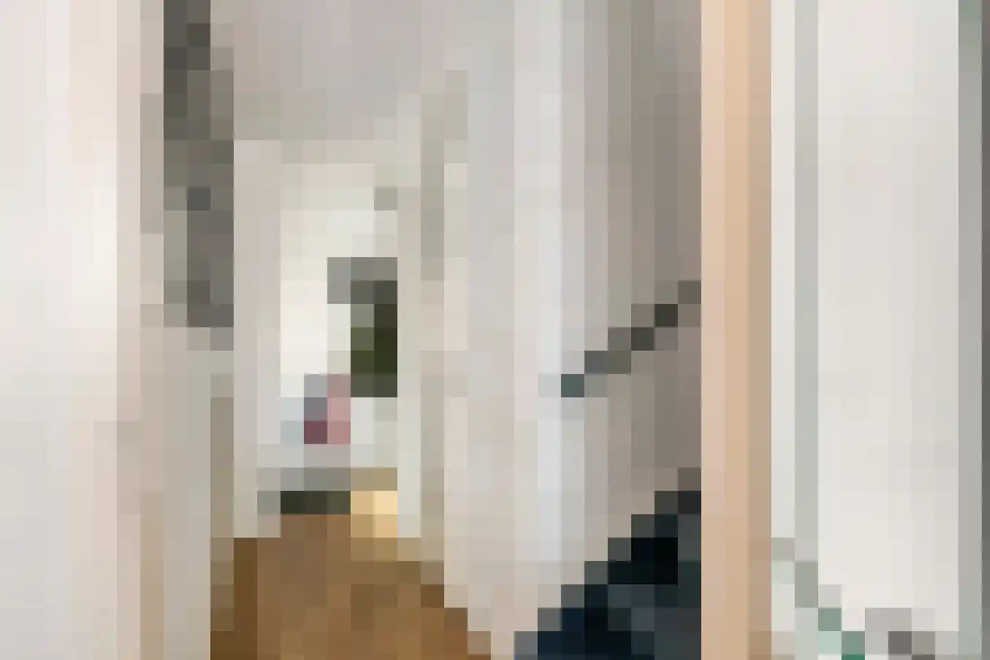 Joke Smitstraat 23 Tiel thumbnail 19