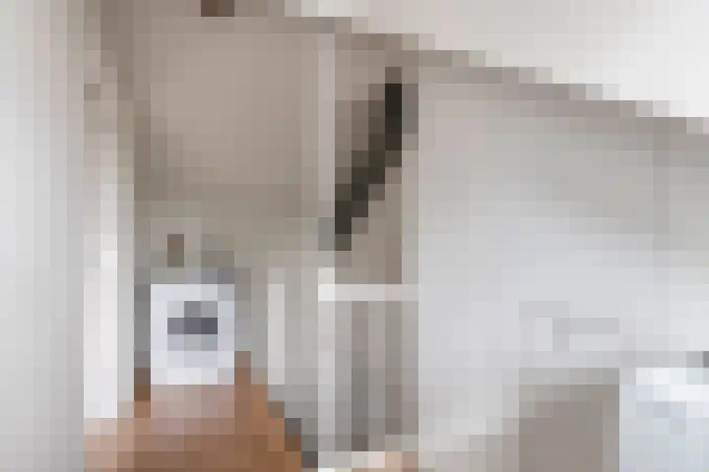 Joke Smitstraat 23 Tiel thumbnail 28