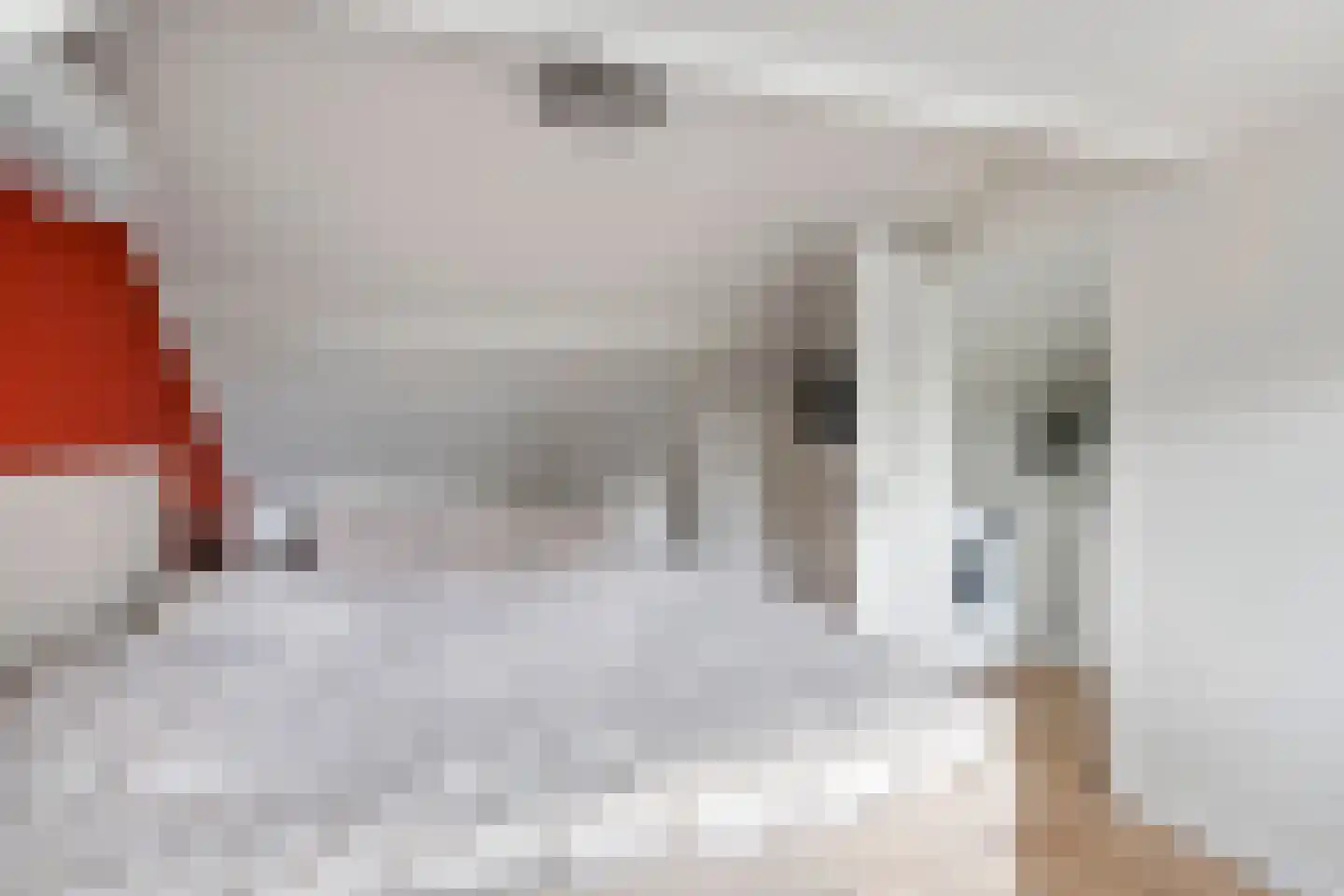 Joke Smitstraat 23 Tiel thumbnail 31