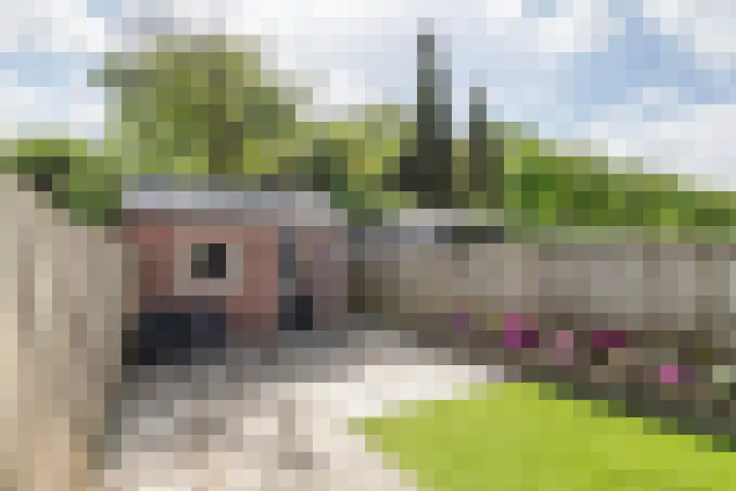 Joke Smitstraat 23 Tiel thumbnail 36
