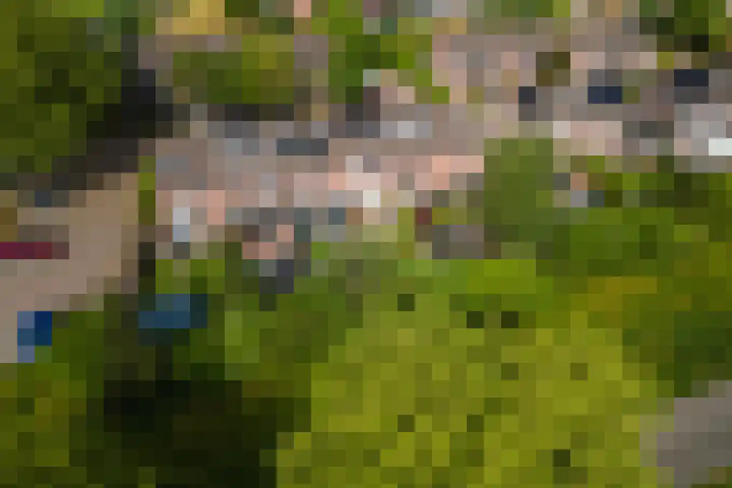 Joke Smitstraat 23 Tiel thumbnail 44